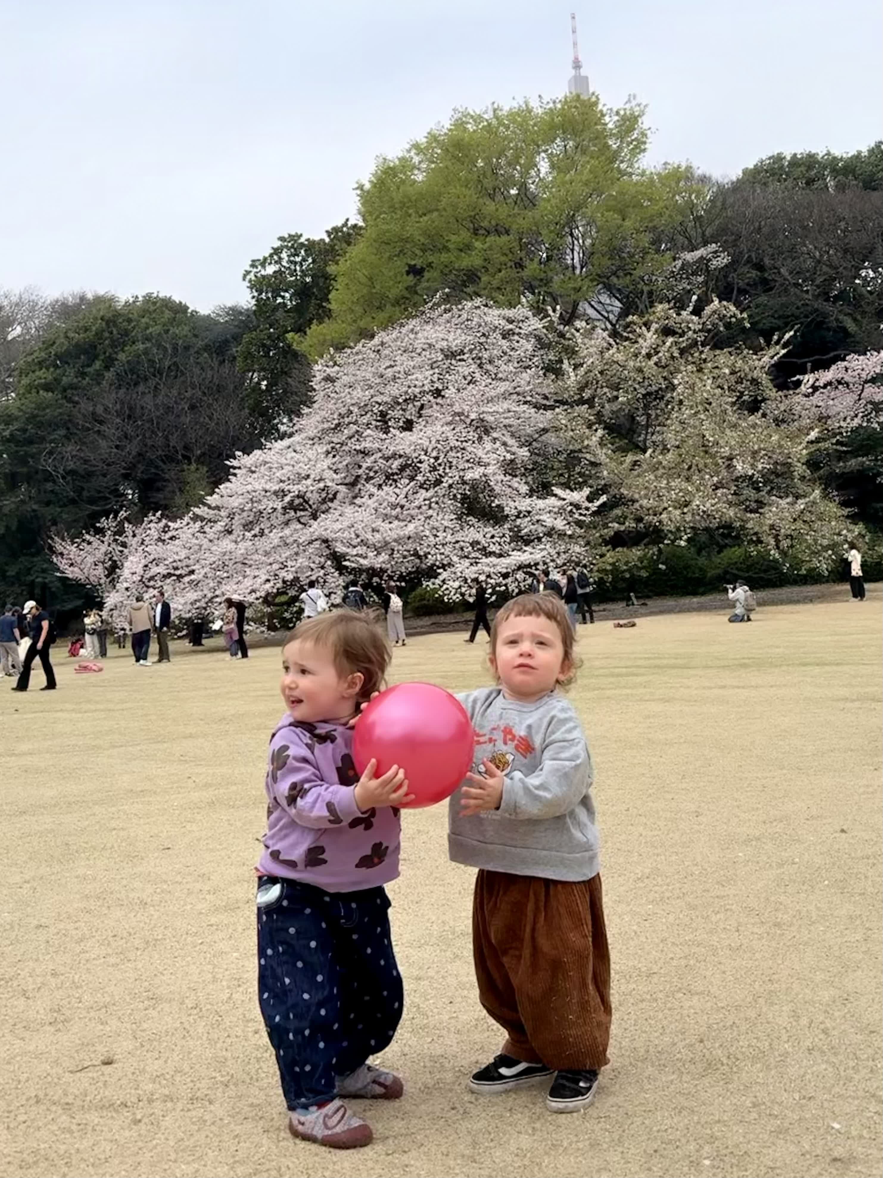 2026 Week 14